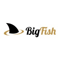 BigFish Partners logo
