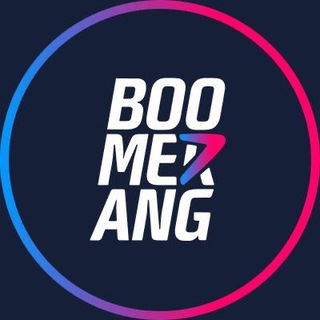 Boomerang Partners logo