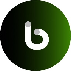 BotimMoney logo
