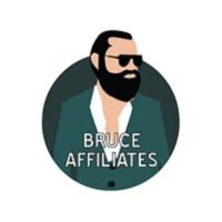 Bruce Affiliates logo