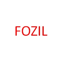 Fozil Partners logo